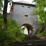 Planina