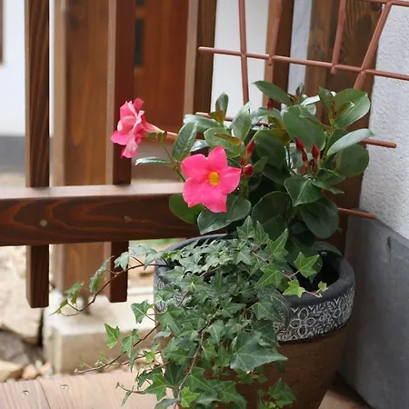 Planina Apartament