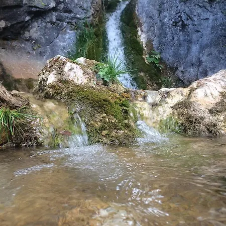 Planina Apartament