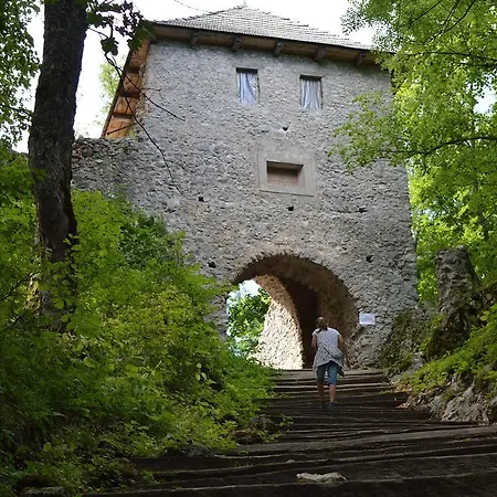 Planina