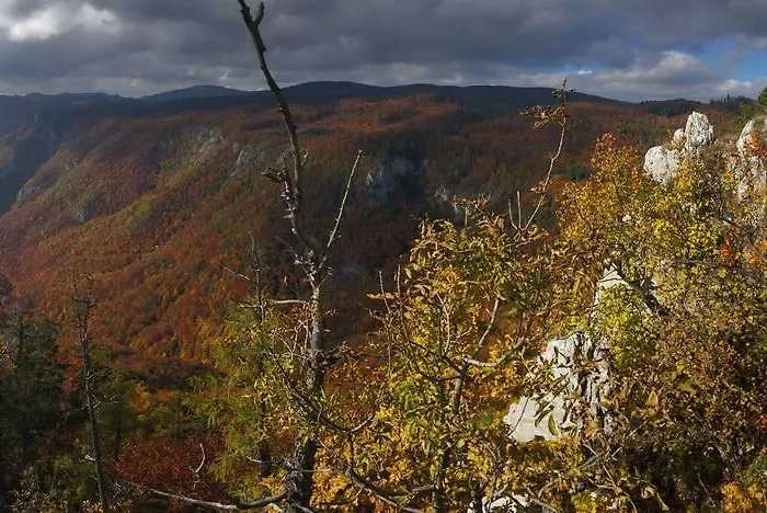 Planina アパート